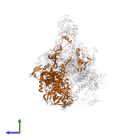 DNA-directed RNA polymerase subunit beta in PDB entry 6ccv, assembly 1, side view.