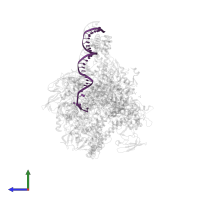 DNA (31-MER) in PDB entry 6ccv, assembly 1, side view.