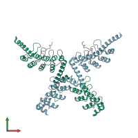 PDB entry 6cf6 coloured by chain, front view.