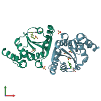 PDB entry 6chl coloured by chain, front view.