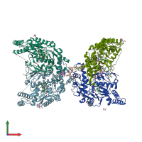 PDB entry 6cif coloured by chain, front view.