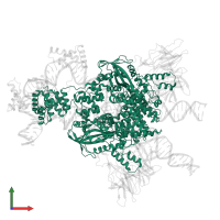 V(D)J recombination-activating protein 1 in PDB entry 6cij, assembly 1, front view.