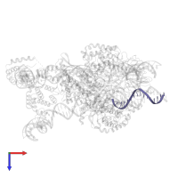 DNA (5'-D(*GP*AP*TP*CP*TP*GP*GP*CP*CP*TP*GP*TP*CP*TP*TP*A)-3') in PDB entry 6cij, assembly 1, top view.