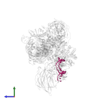 DNA (5'-D(P*CP*TP*GP*GP*AP*TP*CP*TP*GP*GP*CP*CP*TP*GP*TP*CP*TP*TP*A)-3') in PDB entry 6cij, assembly 1, side view.