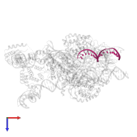 DNA (5'-D(P*CP*TP*GP*GP*AP*TP*CP*TP*GP*GP*CP*CP*TP*GP*TP*CP*TP*TP*A)-3') in PDB entry 6cij, assembly 1, top view.