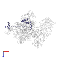 High mobility group protein B1 in PDB entry 6cik, assembly 1, top view.