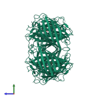 Homo tetrameric assembly 1 of PDB entry 6ciu coloured by chemically distinct molecules, side view.