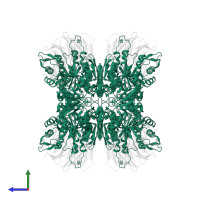 Protein arginine N-methyltransferase 5 in PDB entry 6ckc, assembly 1, side view.