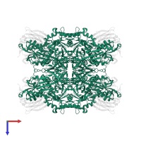 Protein arginine N-methyltransferase 5 in PDB entry 6ckc, assembly 1, top view.