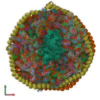 PDB entry 6cm1 coloured by chain, ensemble of 15 models, front view.