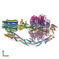 PDB entry 6cp6 coloured by chain, front view.