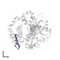 Downstream Primer Strand in PDB entry 6cr5, assembly 1, front view.