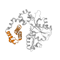 The deposited structure of PDB entry 6cr7 contains 1 copy of Pfam domain PF14716 (Helix-hairpin-helix domain) in DNA polymerase beta. Showing 1 copy in chain D [auth A].