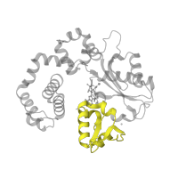 The deposited structure of PDB entry 6cr7 contains 1 copy of Pfam domain PF14791 (DNA polymerase beta thumb ) in DNA polymerase beta. Showing 1 copy in chain D [auth A].