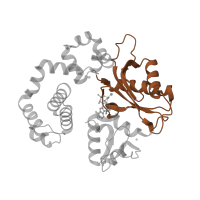 The deposited structure of PDB entry 6cr7 contains 1 copy of Pfam domain PF14792 (DNA polymerase beta palm ) in DNA polymerase beta. Showing 1 copy in chain D [auth A].