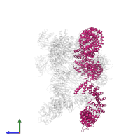 AP-1 complex subunit gamma-1 in PDB entry 6cri, assembly 1, side view.