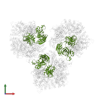 AP-1 complex subunit mu-1 in PDB entry 6cri, assembly 1, front view.