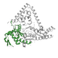 The deposited structure of PDB entry 6cst contains 2 copies of CATH domain 3.30.70.270 (Alpha-Beta Plaits) in DNA polymerase kappa. Showing 1 copy in chain A.