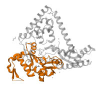 The deposited structure of PDB entry 6cst contains 2 copies of Pfam domain PF00817 (impB/mucB/samB family) in DNA polymerase kappa. Showing 1 copy in chain A.