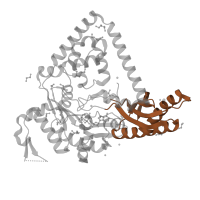The deposited structure of PDB entry 6cst contains 2 copies of Pfam domain PF11799 (impB/mucB/samB family C-terminal domain) in DNA polymerase kappa. Showing 1 copy in chain A.