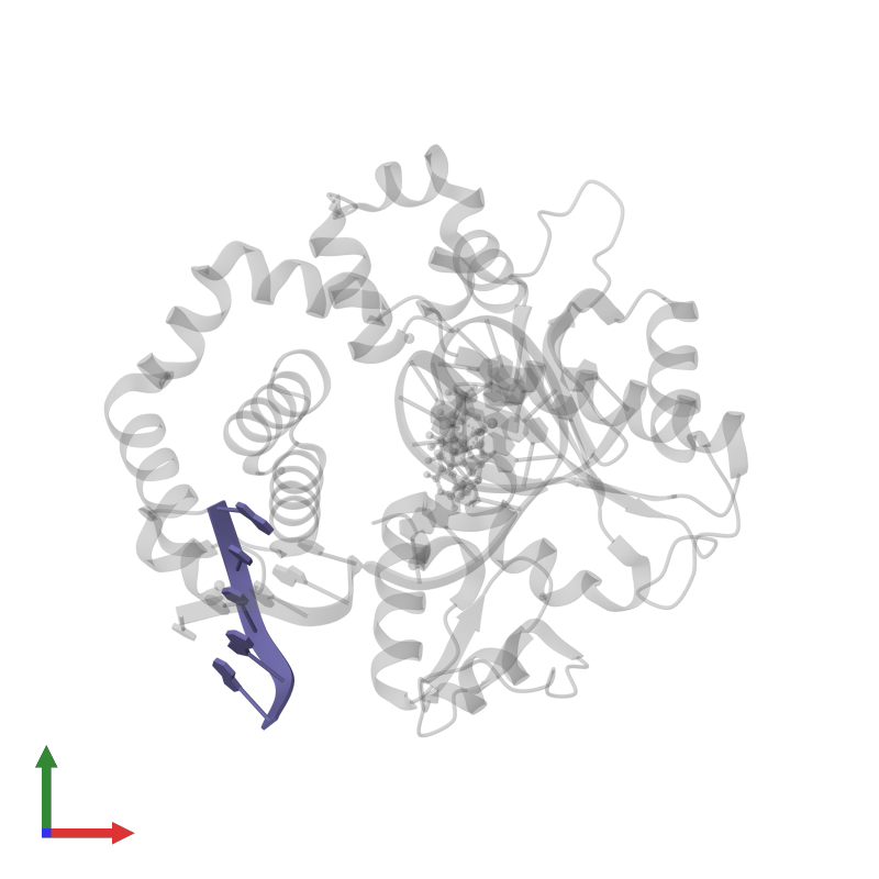 <div class='caption-body'>PDB entry 6cti contains 1 copy of DNA (5'-D(P*GP*TP*CP*GP*G)-3') in assembly 1. This DNA molecule is highlighted and viewed from the front.</div>
