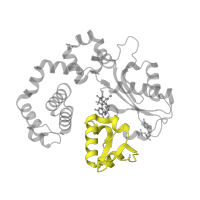 The deposited structure of PDB entry 6ctr contains 1 copy of Pfam domain PF14791 (DNA polymerase beta thumb ) in DNA polymerase beta. Showing 1 copy in chain D [auth A].