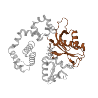 The deposited structure of PDB entry 6ctr contains 1 copy of Pfam domain PF14792 (DNA polymerase beta palm ) in DNA polymerase beta. Showing 1 copy in chain D [auth A].