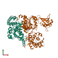 PDB entry 6cwy coloured by chain, front view.