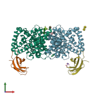 PDB entry 6d0n coloured by chain, front view.