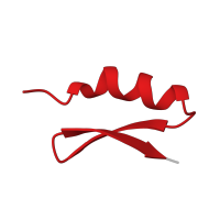 The deposited structure of PDB entry 6d3t contains 1 copy of Pfam domain PF00451 (Scorpion short toxin, BmKK2) in Potassium channel toxin alpha-KTx 5.4. Showing 1 copy in chain A.