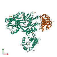 PDB entry 6d66 coloured by chain, front view.