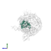 Exosome complex component RRP45 in PDB entry 6d6r, assembly 1, side view.