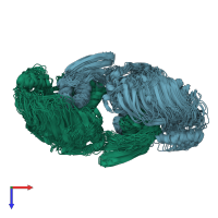 PDB entry 6d6s coloured by chain, ensemble of 20 models, top view.