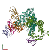 PDB entry 6d6v coloured by chain, front view.