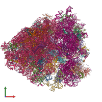 PDB entry 6d90 coloured by chain, front view.