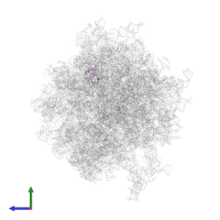 Large ribosomal subunit protein uL14 in PDB entry 6d9j, assembly 1, side view.