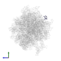 eL38 in PDB entry 6d9j, assembly 1, side view.