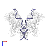 Forward strand RSS substrate DNA in PDB entry 6dbu, assembly 1, top view.