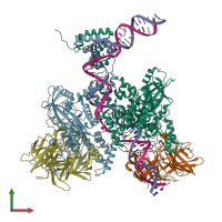 PDB entry 6dbw coloured by chain, front view.