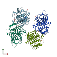 PDB entry 6dd4 coloured by chain, front view.