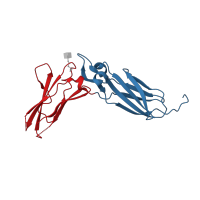 The deposited structure of PDB entry 6df3 contains 2 copies of CATH domain 2.60.40.10 (Immunoglobulin-like) in Interleukin-22 receptor subunit alpha-1. Showing 2 copies in chain A [auth L].