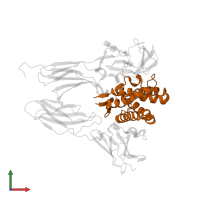 Interleukin-24 in PDB entry 6df3, assembly 1, front view.