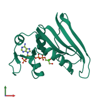 PDB entry 6dfr coloured by chain, front view.