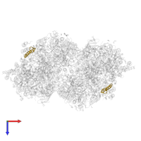 Cytochrome b559 subunit beta in PDB entry 6dhf, assembly 1, top view.