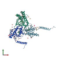 PDB entry 6dk1 coloured by chain, front view.