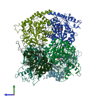 PDB entry 6dna coloured by chain, side view.