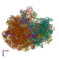 PDB entry 6dnc coloured by chain, top view.