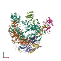 PDB entry 6drd coloured by chain, front view.