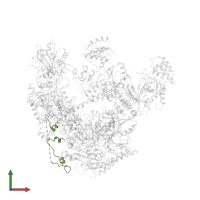 DNA-directed RNA polymerase II subunit GRINL1A in PDB entry 6drd, assembly 1, front view.