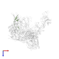 DNA-directed RNA polymerase II subunit GRINL1A in PDB entry 6drd, assembly 1, top view.